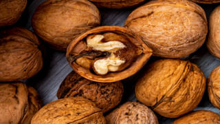 Tamarind Pulihora : ప్రసాదం స్టైల్ చింతపండు పులిహోర.. ఇలా చేస్తే టేస్ట్ అదిరిపోతుంది