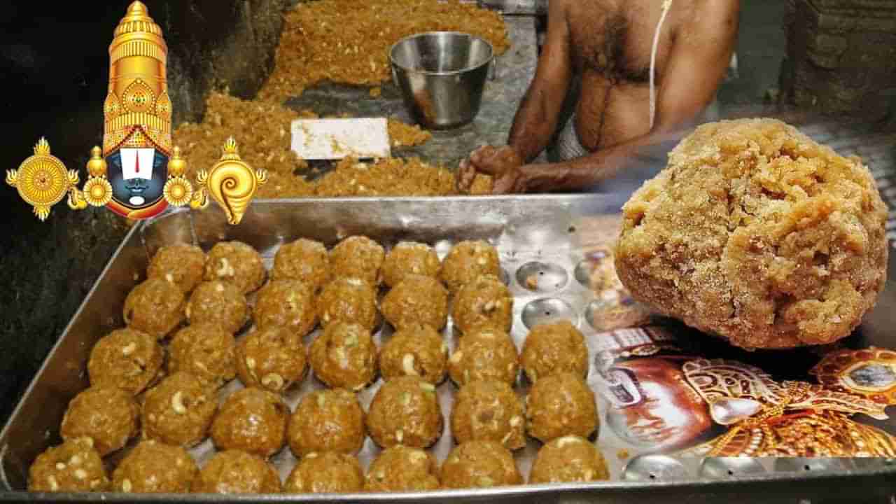 Tirumala Laddu: తిరుపతి లడ్డూలో జంతువుల కొవ్వు.. ల్యాబ్ రిపోర్ట్ విడుదల చేసిన టీడీపీ