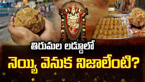 Tirumala Laddu: తిరుమల లడ్డూలో నెయ్యి చుట్టూ రాజకీయ వివాదం.. ఎవరి మాట నిజం?