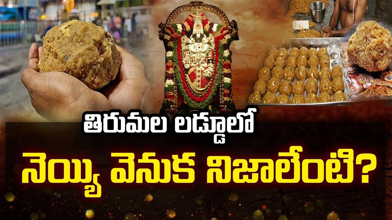 Tirumala Laddu: తిరుమల లడ్డూలో నెయ్యి చుట్టూ రాజకీయ వివాదం.. ఎవరి మాట నిజం?