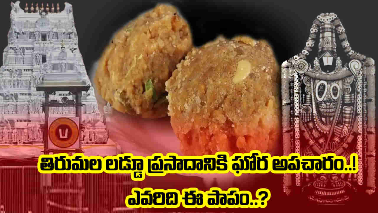 Tirumala Laddu: ఓరి దేవుడా.! తిరుమల లడ్డూ ప్రసాదంపై పెను వివాదం.. ఆందోళనలో భక్తజనం