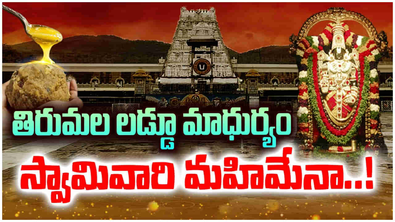 Tirumala Laddu: లడ్డూ ప్రసాద మాధుర్యం స్వామివారి మహిమే..! శ్రీవారికి ఎన్ని నైవేద్యాలు పెడతారు..?