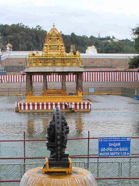 ఆ రోజు నుంచే అందుబాటులోకి తిరుమల పుష్కరిణి..