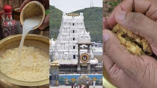 Tirumala Laddu: తిరుమల కల్తీ నెయ్యి వ్యవహారంలో మరో ట్విస్ట్‌.. గుట్టు తేల్చేందుకు రంగంలోకి అసలు టీమ్‌!