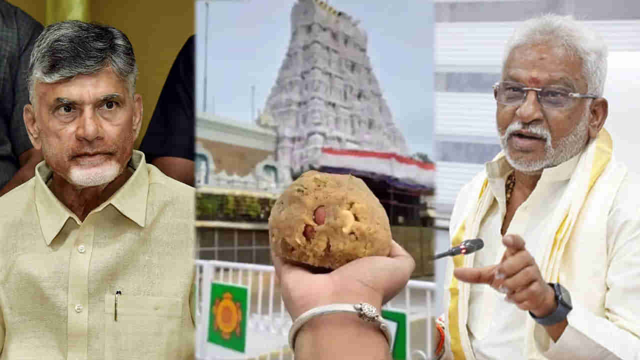 Tirupati Laddu: మేము సిద్ధం.. చంద్రబాబు ప్రమాణానికి సిద్ధమా?.. సీఎం వ్యాఖ్యలపై వైవీ సుబ్బారెడ్డి ఫైర్..