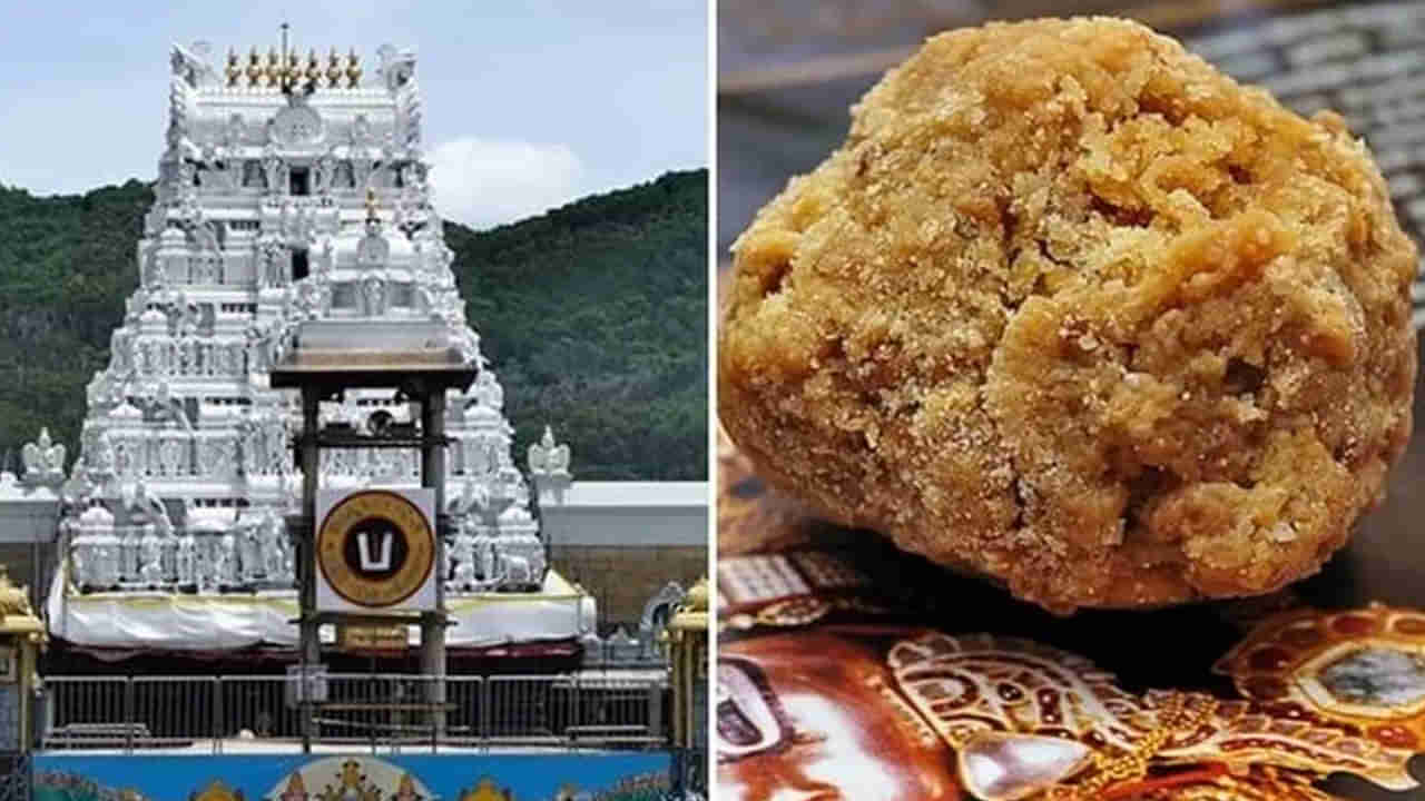 Tirupati Laddu: ప్రాథమిక ఆధారాలే లేవు.. మీడియా ముందుకు ఎందుకెళ్లారు?.. సుప్రీంకోర్టు ప్రశ్నల వర్షం..