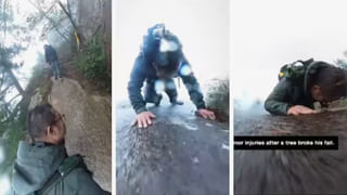 జంతువుల కొవ్వు ఏయే ఆహారంలో ఉంటుందో తెలుసా..? తస్మాత్‌ జాగ్రత్త..!