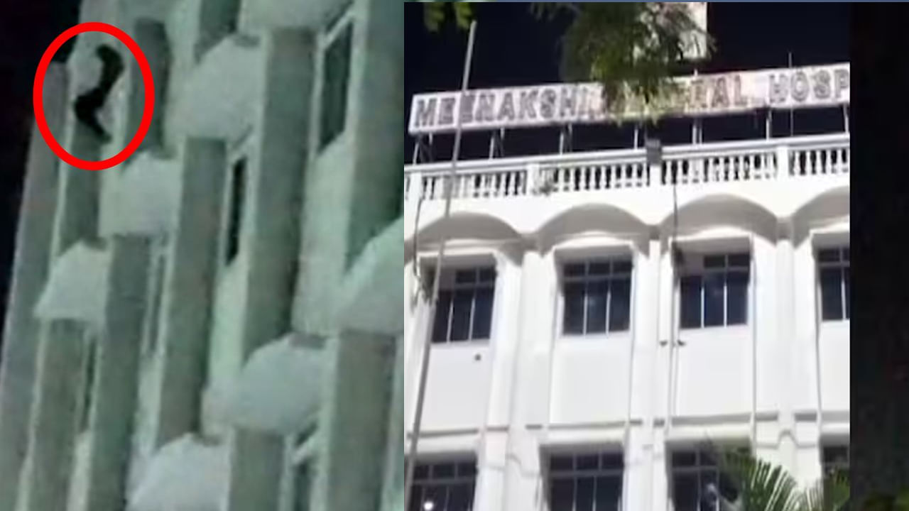 Trainee Doctor: మెడికల్ కాలేజీ బిల్డింగ్ 5వ అంతస్తు నుంచి దూకిన ట్రైనీ వైద్యురాలు.. ఏం జరిగిందో?