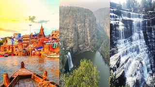 Toenail Fungus: కాలి గోళ్ళలో చీము పేరుకుని పసుపు రంగులోకి మారాయా.. నివారణకు ఈ చిట్కా అప్లై చేసి చూడండి..