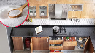 skanda sashti: ఈ రోజు స్కంద షష్ఠి ఆరోగ్యం కోసం కార్తికేయుడిని ఎలా పూజించాలి.. వేటిని దానం చేయాలో తెలుసా..