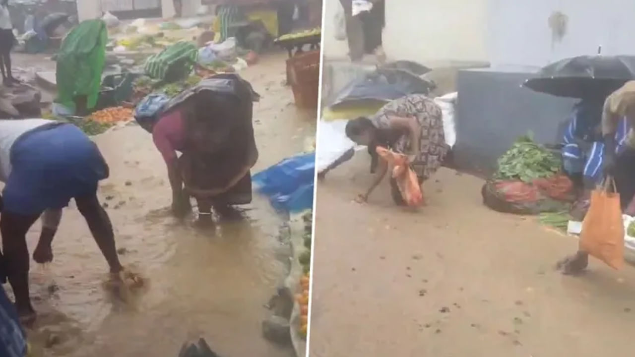 Viral Video: హైదరాబాద్లో దంచికొట్టిన వాన.. నీటిలో కొట్టుకుపోయిన కూరగాయలు..సంచిలో వేసుకున్న స్థానికులు Viral Video: హైదరాబాద్లో దంచికొట్టిన వాన.. నీటిలో కొట్టుకుపోయిన కూరగాయలు..సంచిలో వేసుకున్న స్థానికులు