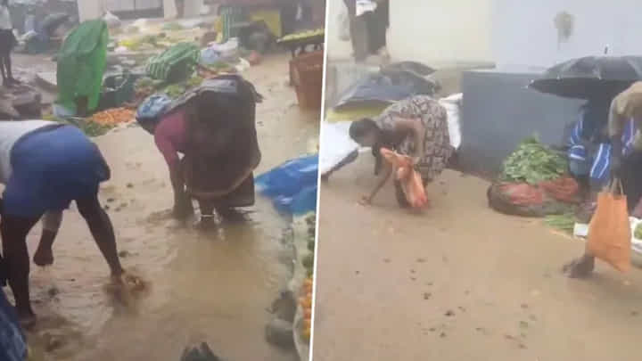 Viral Video: హైదరాబాద్లో దంచికొట్టిన వాన.. నీటిలో కొట్టుకుపోయిన కూరగాయలు..సంచిలో వేసుకున్న స్థానికులు Viral Video: హైదరాబాద్లో దంచికొట్టిన వాన.. నీటిలో కొట్టుకుపోయిన కూరగాయలు..సంచిలో వేసుకున్న స్థానికులు