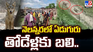 Snake on fan: పడుకుందామని బెడ్‌రూమ్‌లో ఫ్యాన్‌ వేశారు.. పైనుంచి బుసలు విని షాక్‌.!