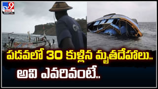 Cat Viral: ఇది మామూలు పిల్లి కాదు.! 1000 మైళ్ల దూరంలోని ఇంటికి..