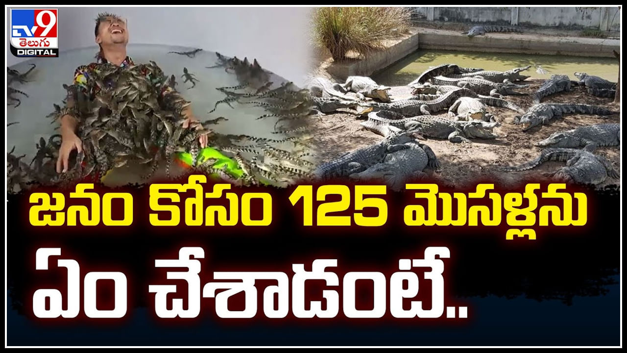 Viral: జనం కోసం 125 మొసళ్లను ఏం చేశాడంటే.? పాపం మూగజీవాలు..