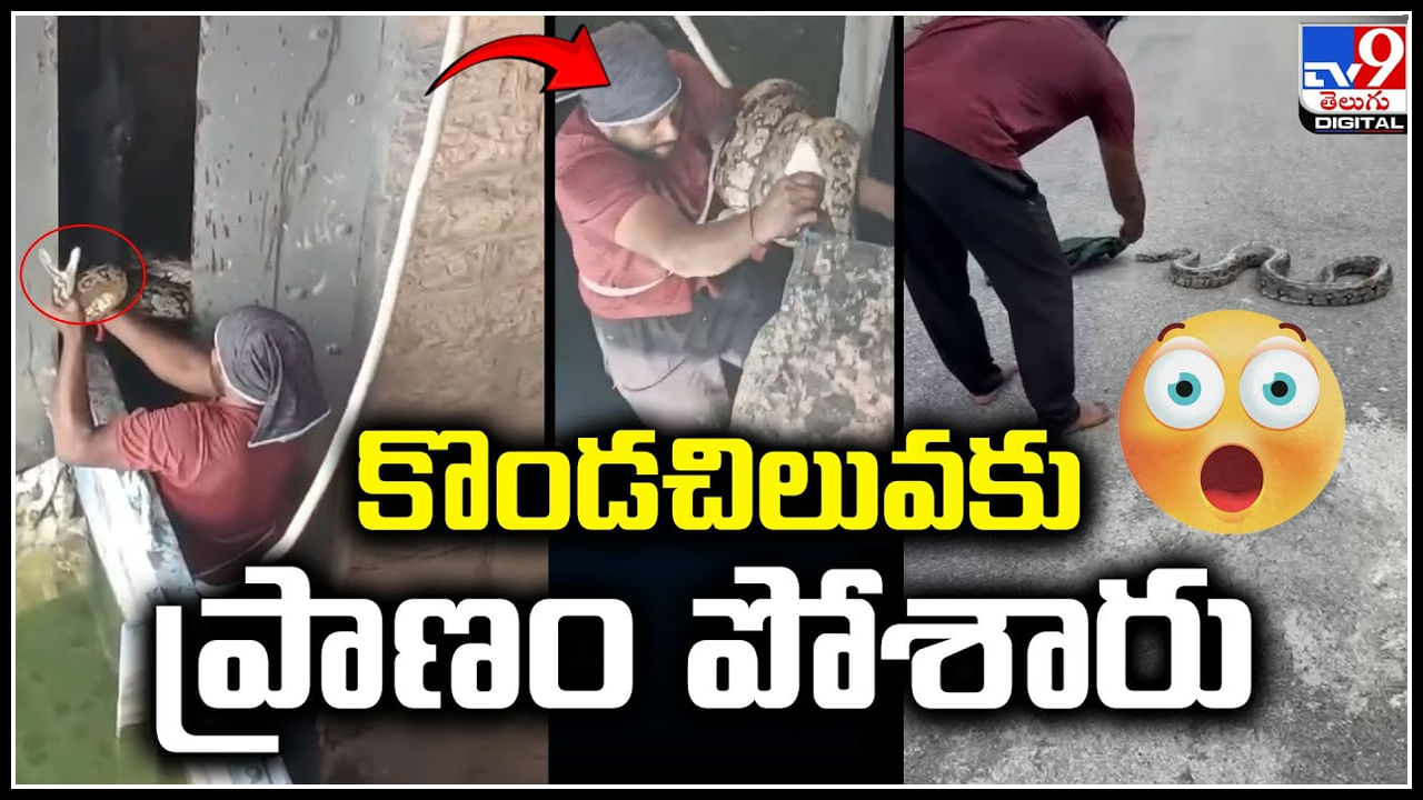 Viral: కొండచిలువకు ప్రాణం పోశారు.! సాగర్ జలాశయం లో భారీ కొండ చిలువ..