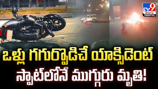 Watch: వామ్మో! ఆ ఉడిపి హోటల్‌ లో ఇడ్లీలో ప్రత్యక్షమైన జెర్రి.! తరువాత.?