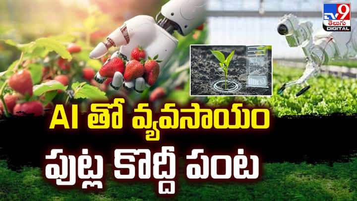ప్రపంచంలోనే తొలిసారి AI టెక్నాలజీ తో వ్యవసాయం.. పుట్ల కొద్దీ పంట.. ప్రపంచంలోనే తొలిసారి AI టెక్నాలజీ తో వ్యవసాయం.. పుట్ల కొద్దీ పంట..