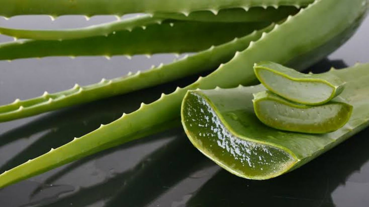 Aloe vera: కలబందతో మెరిసే అందం మీ సొంతం.. ఎలా వాడాలంటే?