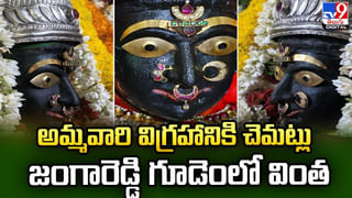 యోగాసనాలతో నవదుర్గ రూపాలు