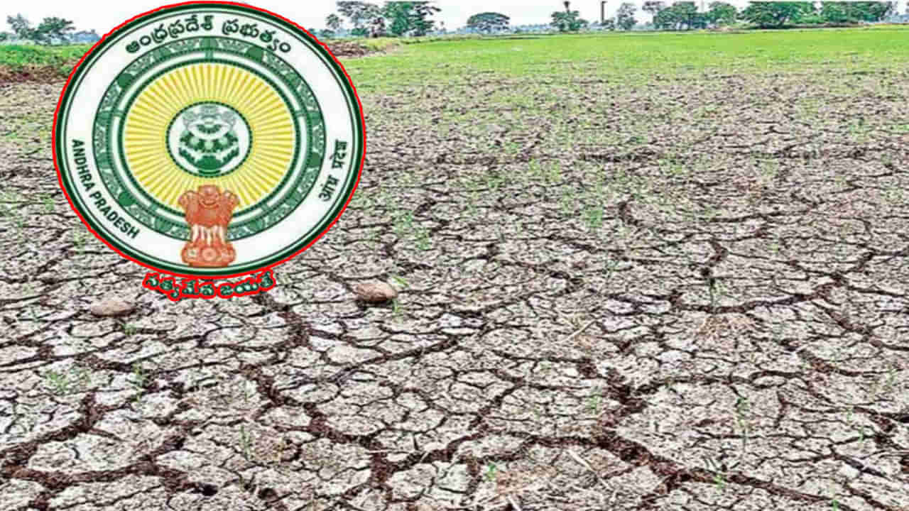 Andhra Pradesh: రాష్ట్రంలో 5 జిల్లాల్లో... 54 మండలాల్లో కరువు పరిస్థితులు