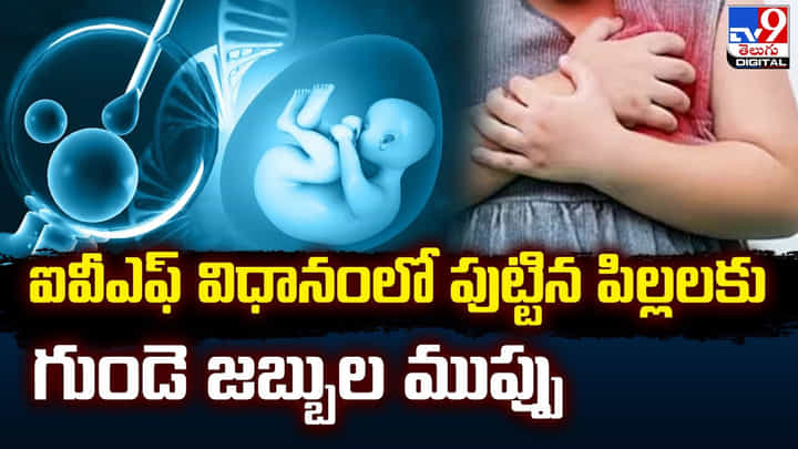 ఐవీఎఫ్ విధానంలో పుట్టిన పిల్లలకు గుండె జబ్బుల ముప్పు ఐవీఎఫ్ విధానంలో పుట్టిన పిల్లలకు గుండె జబ్బుల ముప్పు