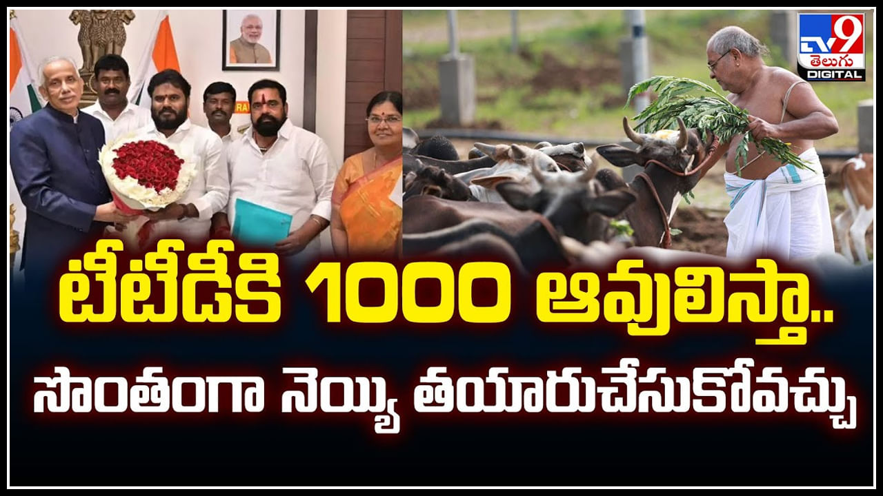 TTD Cows: టీటీడీకి 1000 ఆవులిస్తా.! సొంతంగా నెయ్యి తయారుచేసుకోవచ్చు..