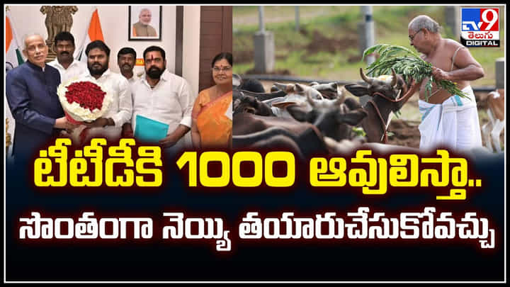 TTD Cows: టీటీడీకి 1000 ఆవులిస్తా.! సొంతంగా నెయ్యి తయారుచేసుకోవచ్చు.. TTD Cows: టీటీడీకి 1000 ఆవులిస్తా.! సొంతంగా నెయ్యి తయారుచేసుకోవచ్చు..