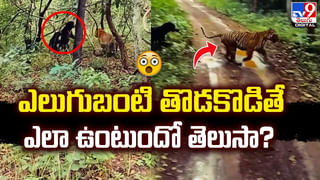 ఐఫోన్‌తోపాటు ఛార్జర్ ఇవ్వని కంపెనీ.. రూ.1.29 లక్షల జరిమానా