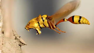 AP News: లంచం కోసం చూస్తే.. అసలుకే ఎసరు వచ్చింది