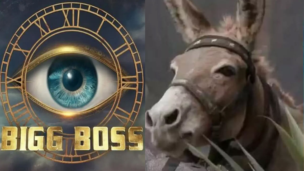 Bigg Boss: మీ వినోదం కోసం జంతువులను వాడుకుంటారా? బిగ్ బాస్ హౌస్లోకి గాడిదను తీసుకురావడంపై పెటా ఆగ్రహం