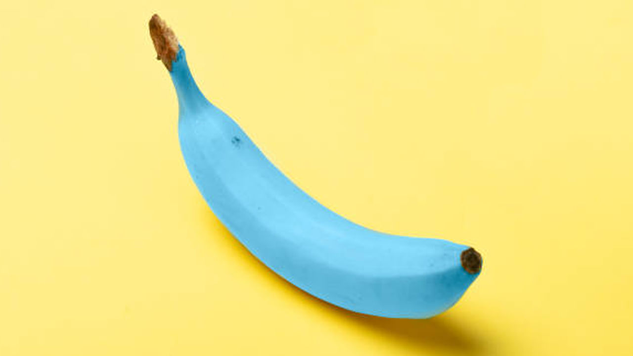 Blue Banana: మీకు బ్లూ బనానా గురించి తెలుసా.? లాభాలు అమోఘం.. Blue Banana: మీకు బ్లూ బనానా గురించి తెలుసా.? లాభాలు అమోఘం..