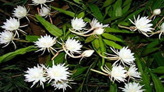 Telangana: భార్యపై అనుమానం.. ఆమెను వదిలించుకునేందుకు భర్త పెద్ద స్కెచ్.. అప్పుడే అసలు ట్విస్ట్!