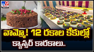 Crabs in Metro: మెట్రోలో పీతల సందడి.. మెట్రోలో ప్రయాణికురాలి సంచి నుంచి బయటపడ్డ పీతలు.!
