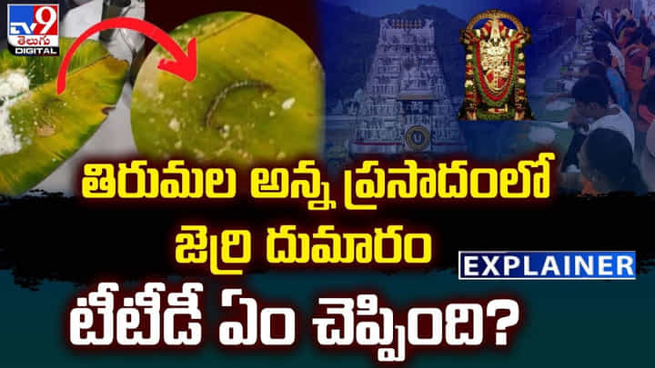 తిరుమల అన్న ప్రసాదంలో జెర్రి దుమారం.. టీటీడీ ఏం చెప్పింది ?? తిరుమల అన్న ప్రసాదంలో జెర్రి దుమారం.. టీటీడీ ఏం చెప్పింది ??