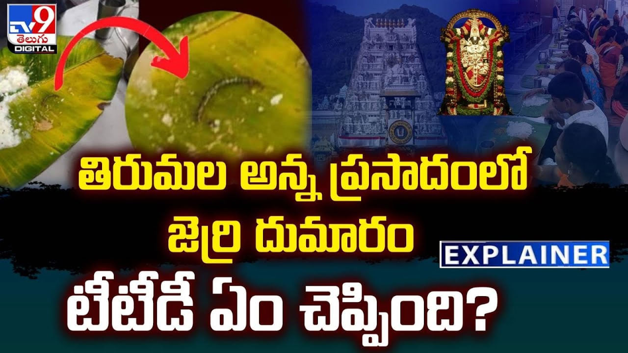 తిరుమల అన్న ప్రసాదంలో జెర్రి దుమారం.. టీటీడీ ఏం చెప్పింది ??