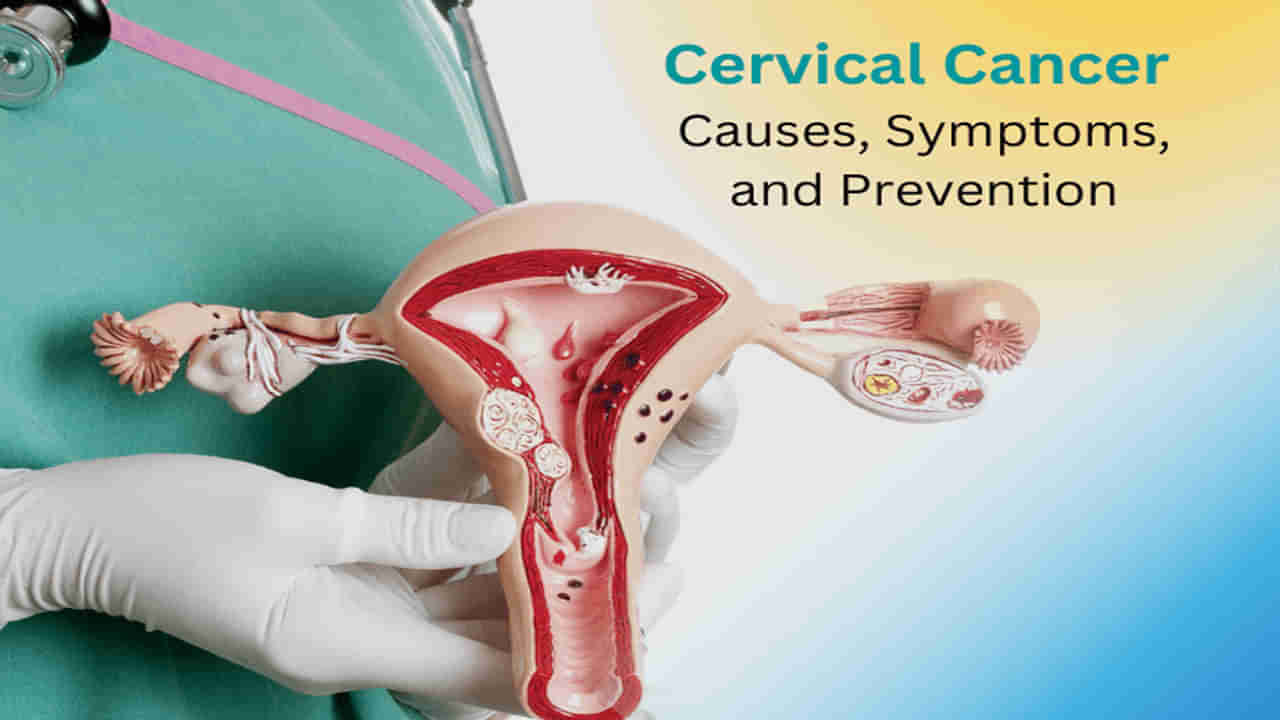 Cervical Cancer: భారత్‌లో పెరుగుతున్న సర్వైకల్ క్యాన్సర్ కేసులు.. ప్రారంభ లక్షణాలు ఎలాఉంటాయంటే