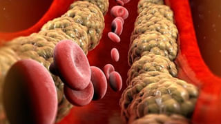 Coconut Fiber: కొబ్బరి పీచును పడేస్తున్నారా.. ఎన్ని రకాలుగా ఉపయోగపడుతుందటే..