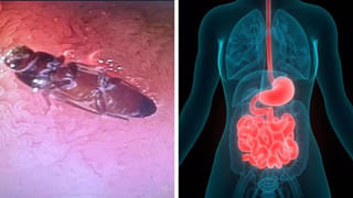 Watch: పట్టపగలే రెచ్చిపోయిన మహిళ దొంగ.. ఏకంగా 28 కిలోల వెండితో పరార్..షాకింగ్‌ వీడియో