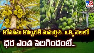 అరకులోయలో పారా గ్లైడింగ్.. ట్రయల్‌ రన్‌ సక్సెస్‌