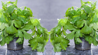 Navratri 2024: షుగర్ పేషెంట్స్ నవరాత్రుల్లో ఉపవాసం ఉంటున్నారా..! ఎలాంటి ఆహారం తీసుకోవాలంటే