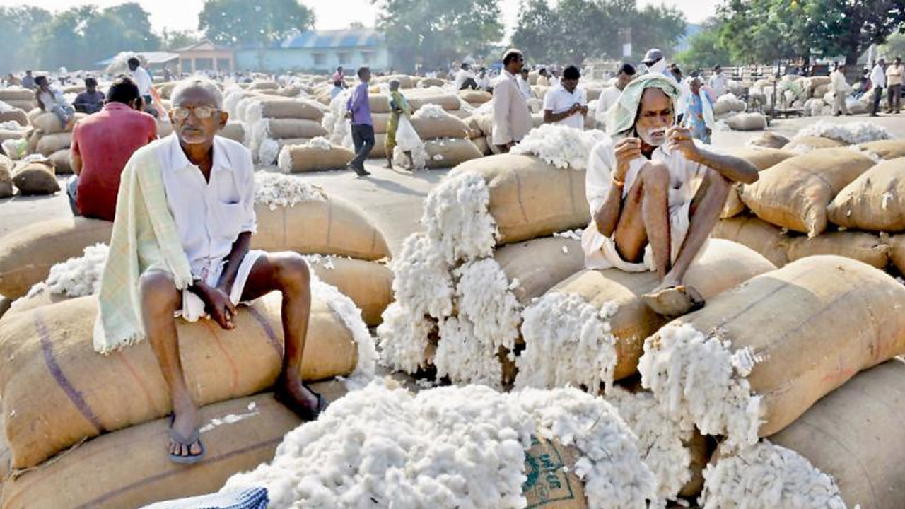 Adilabad: ప్రారంభమైన పత్తి కొనుగోలు.. క్వింటాకు ఎంత ధర నిర్ణయించారంటే