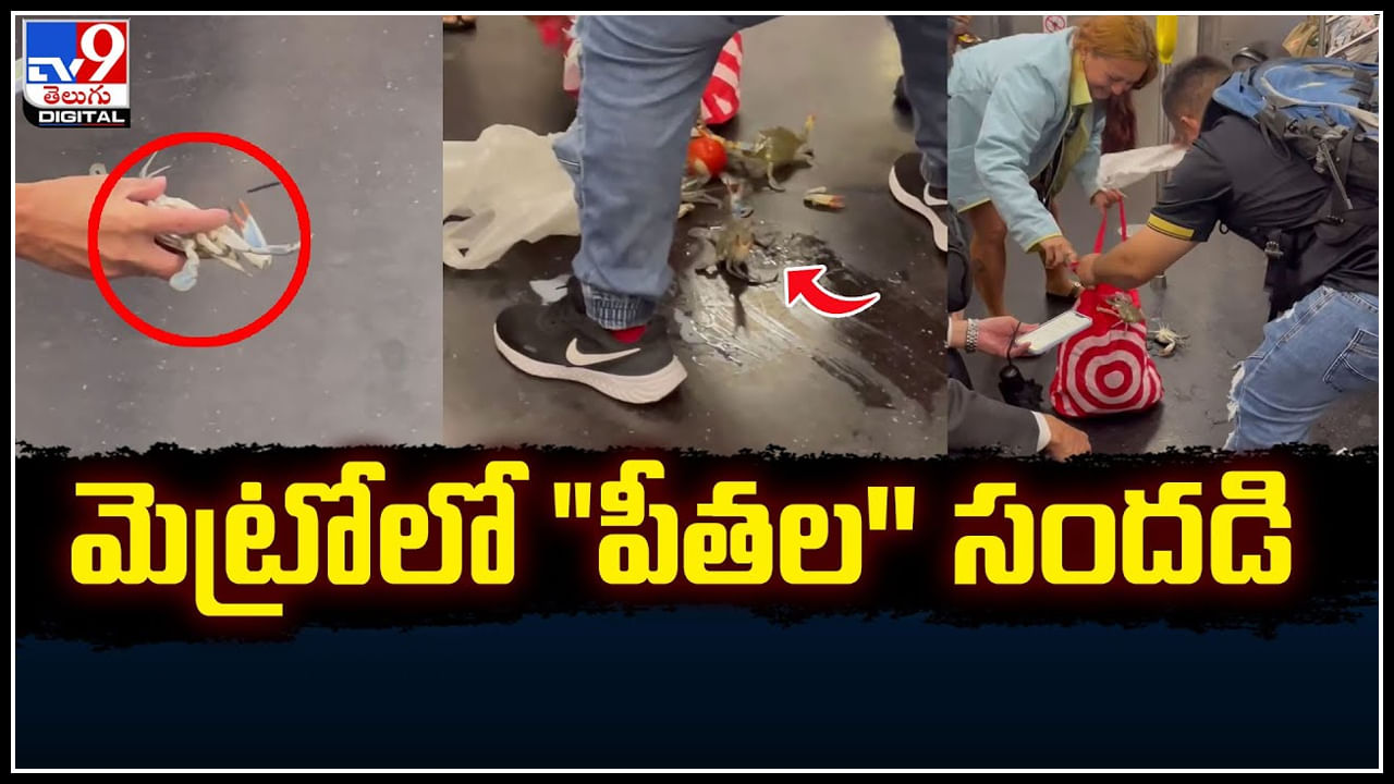 Crabs in Metro: మెట్రోలో పీతల సందడి.. మెట్రోలో ప్రయాణికురాలి సంచి నుంచి బయటపడ్డ పీతలు.!