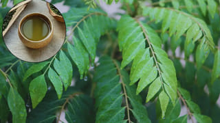 Lifestyle: ఈ లక్షణాలున్నాయా.? ఉప్పు తక్కువగా తింటున్నట్లే..