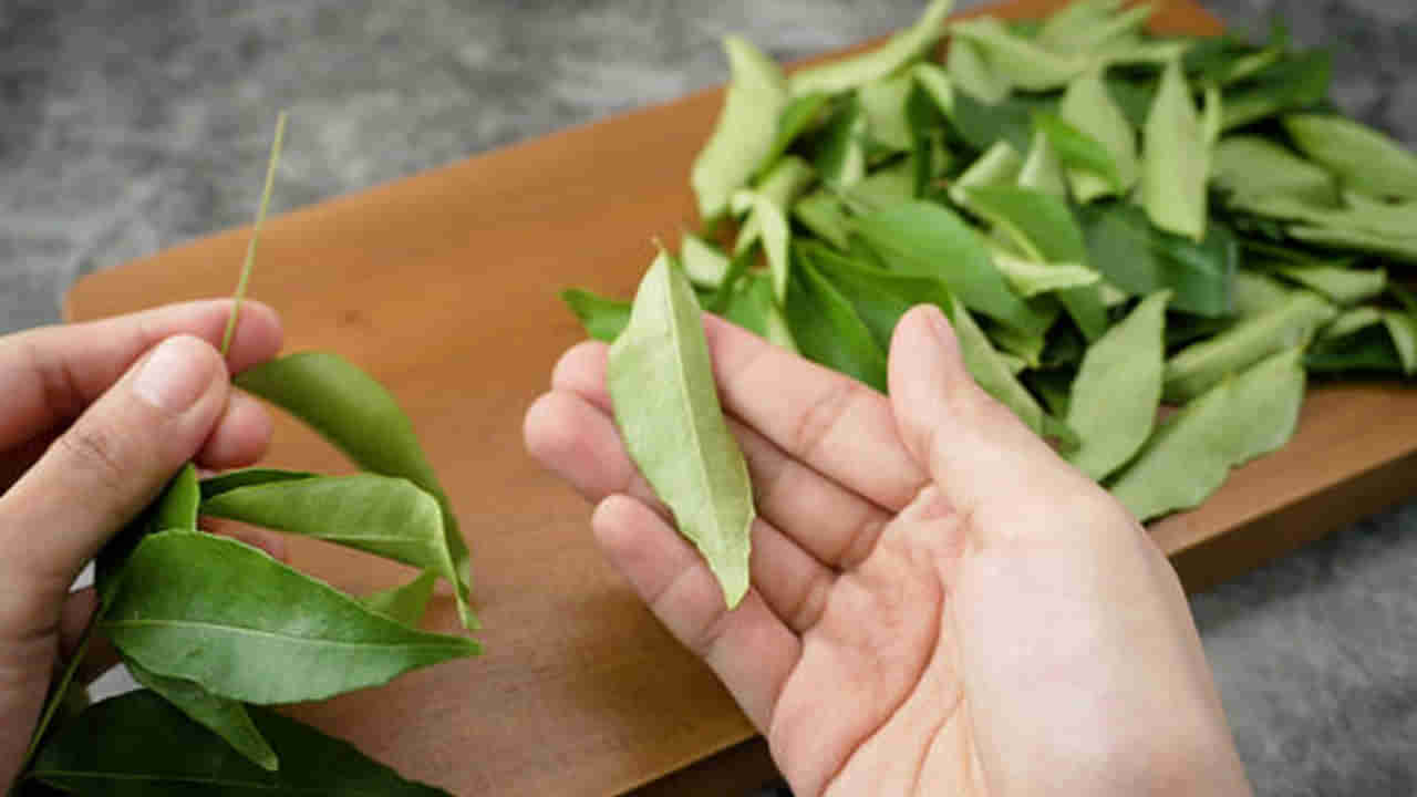 Curry Leaves: చర్మ సమస్యల నుంచి మధుమేహం వరకు.. ఖాళీ కడుపుతో కరివేపాకు నమిలితే అద్భుతం..!