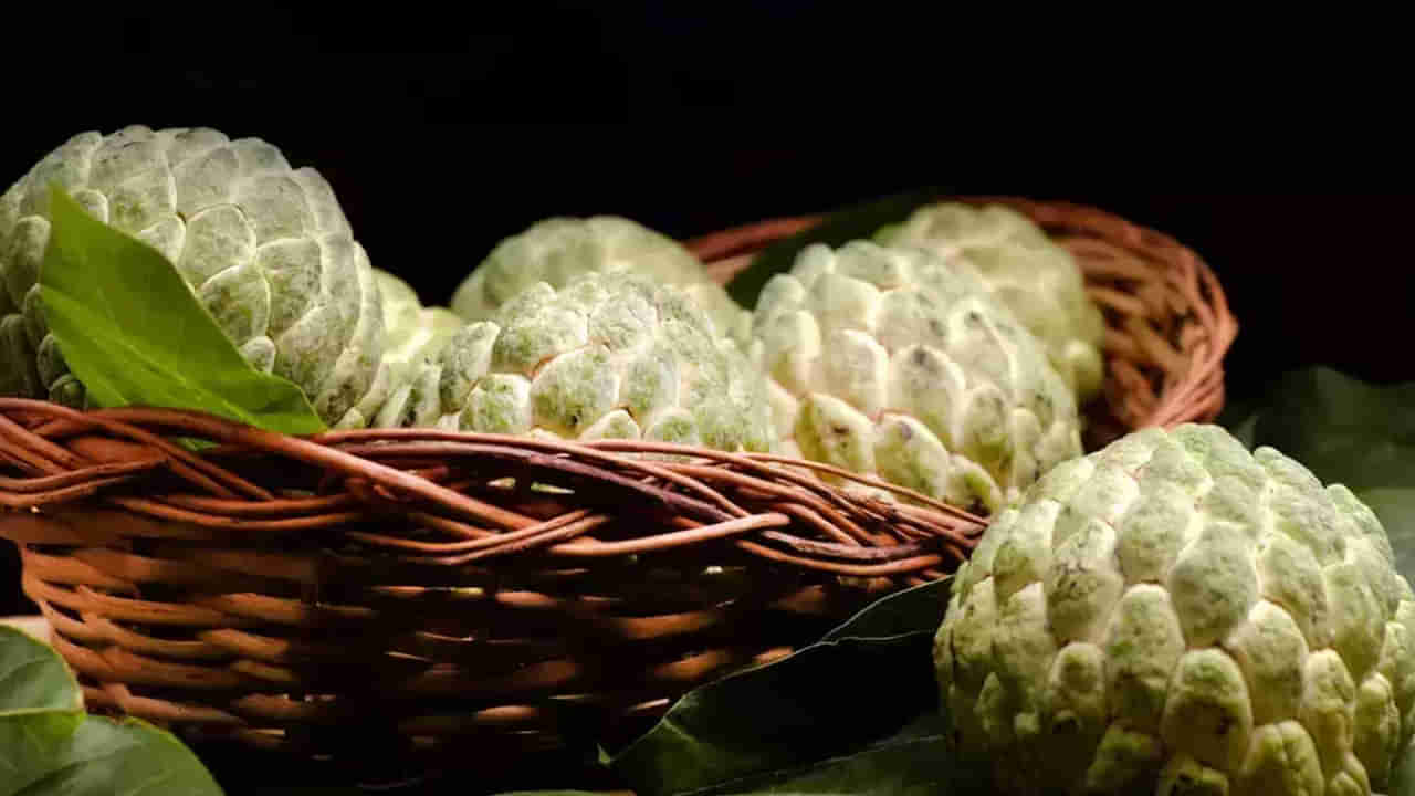 Custard Apple: తియ్యగా ఉందని తెగ తింటున్నారా.? ముందు ఈ విషయాలు తెలుసుకోండి..