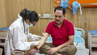 Viral Video: పొదల మాటున వింత శబ్దాలు.. ఉబ్బిన పొట్టతో కనిపించిన కొండచిలువ.. కట్ చేస్తే