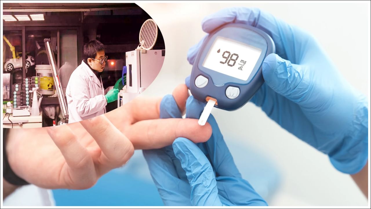 Diabetes: ఇక డయాబెటిస్కు గుడ్బై.. చైనా శాస్త్రవేత్తల విజయం