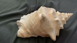 Navaratri 2024: అరకిలో బంగారం, 1500 కేజీల స్వీట్స్ సారెను అమ్మవారికి సమర్పించిన భక్తులు.. ఎక్కడంటే