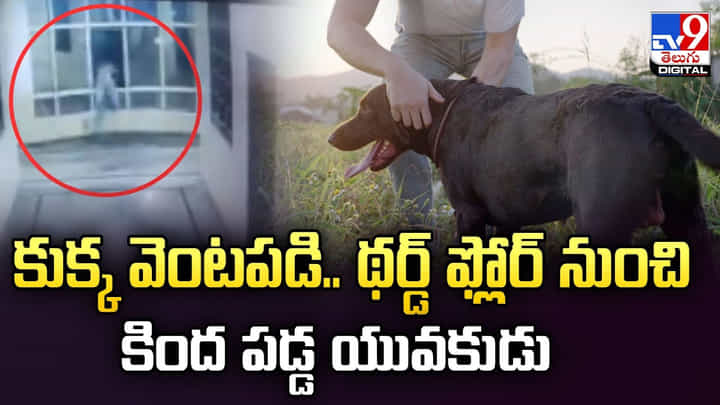 కుక్క వెంటపడి.. థర్డ్ ఫ్లోర్ నుంచి కింద పడ్డ యువకుడు కుక్క వెంటపడి.. థర్డ్ ఫ్లోర్ నుంచి కింద పడ్డ యువకుడు